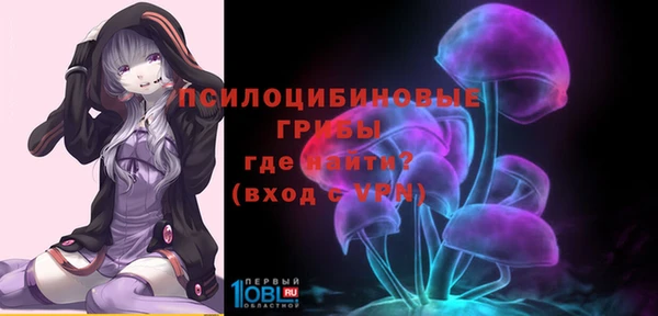 ECSTASY Бородино