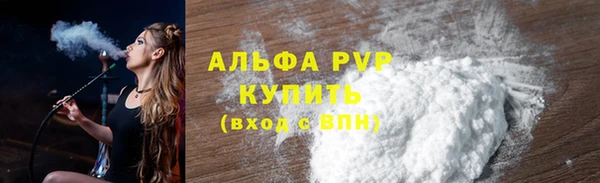 ECSTASY Бородино