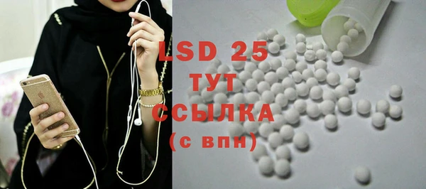 ECSTASY Бородино