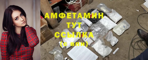 ECSTASY Бородино