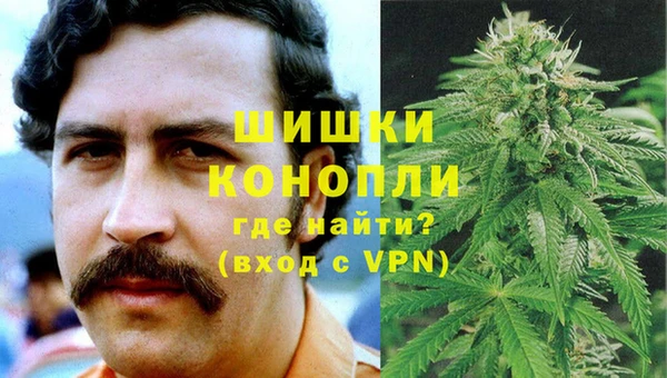 ECSTASY Бородино