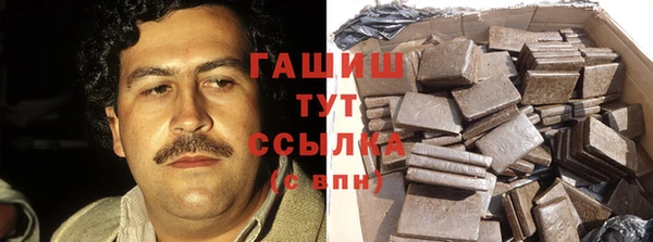 ECSTASY Бородино