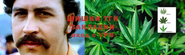 ГАЛЛЮЦИНОГЕННЫЕ ГРИБЫ Бугульма