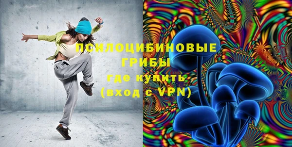 ECSTASY Бронницы