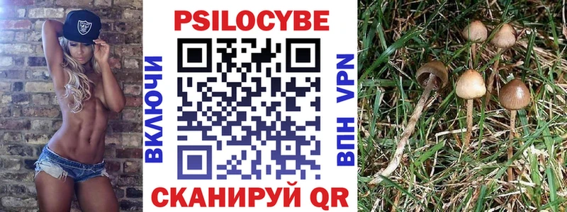 Галлюциногенные грибы Psilocybine cubensis  сколько стоит  Отрадная 